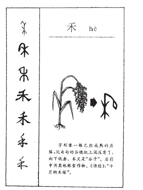 禾名字意思|禾的意思